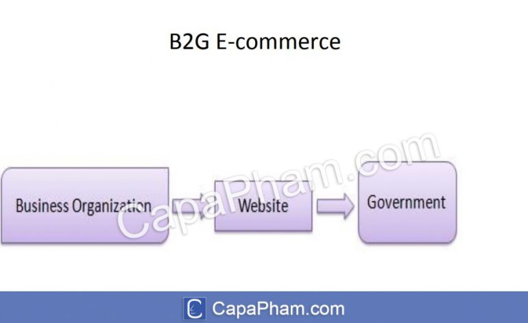 B2G (Business to Government/Doanh nghiệp với Chính phủ)