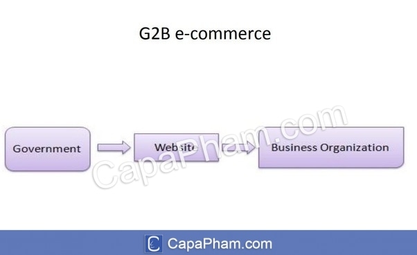 G2B (Government to Business/Chính phủ với Doanh nghiệp)